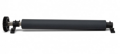 Zebra platen roller P1080383-223